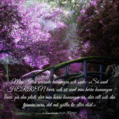Picture 03 - 2 Samuelsboken 15:21 SV1917 - Men Ittai svarade konungen och sade: »Så sant - Bible Verse Picture