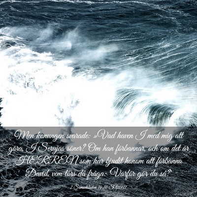Picture 03 - 2 Samuelsboken 16:10 SV1917 - Men konungen svarade: »Vad haven I med mig att - Bible Verse Picture