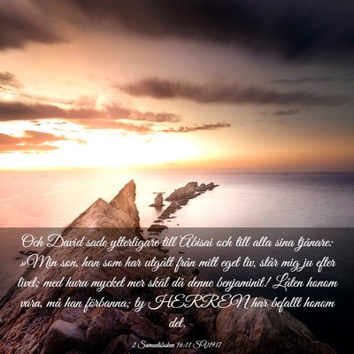 Picture 03 - 2 Samuelsboken 16:11 SV1917 - Och David sade ytterligare till Abisai och till - Bible Verse Picture