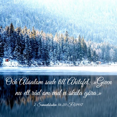 Picture 03 - 2 Samuelsboken 16:20 SV1917 - Och Absalom sade till Ahitofel: »Given nu ett - Bible Verse Picture