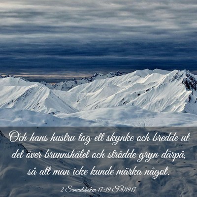 Picture 03 - 2 Samuelsboken 17:19 SV1917 - Och hans hustru tog ett skynke och bredde ut det - Bible Verse Picture