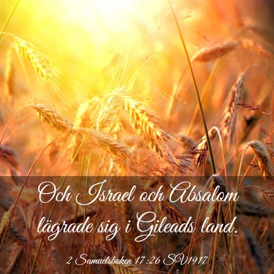Picture 03 - 2 Samuelsboken 17:26 SV1917 - Och Israel och Absalom lägrade sig i Gileads - Bible Verse Picture
