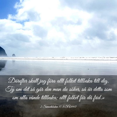 Picture 03 - 2 Samuelsboken 17:3 SV1917 - Därefter skall jag föra allt folket tillbaka - Bible Verse Picture