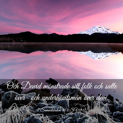 Picture 03 - 2 Samuelsboken 18:1 SV1917 - Och David mönstrade sitt folk och satte över- - Bible Verse Picture