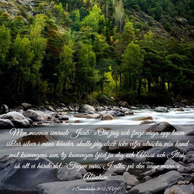 Picture 03 - 2 Samuelsboken 18:12 SV1917 - Men mannen svarade Joab: »Om jag ock finge väga - Bible Verse Picture