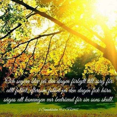 Picture 03 - 2 Samuelsboken 19:2 SV1917 - Och segern blev på den dagen förbytt till sorg - Bible Verse Picture