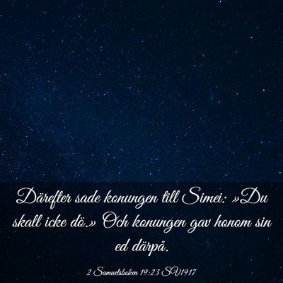 Picture 03 - 2 Samuelsboken 19:23 SV1917 - Därefter sade konungen till Simei: »Du skall - Bible Verse Picture