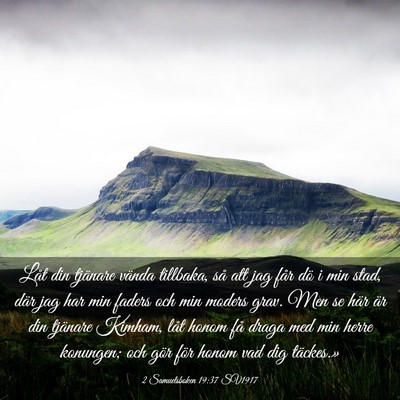 Picture 03 - 2 Samuelsboken 19:37 SV1917 - Låt din tjänare vända tillbaka, så att jag - Bible Verse Picture