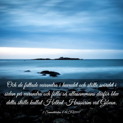 Picture 03 - 2 Samuelsboken 2:16 SV1917 - Och de fattade varandra i huvudet och stötte - Bible Verse Picture