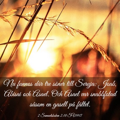 Picture 03 - 2 Samuelsboken 2:18 SV1917 - Nu funnos där tre söner till Seruja: Joab, - Bible Verse Picture