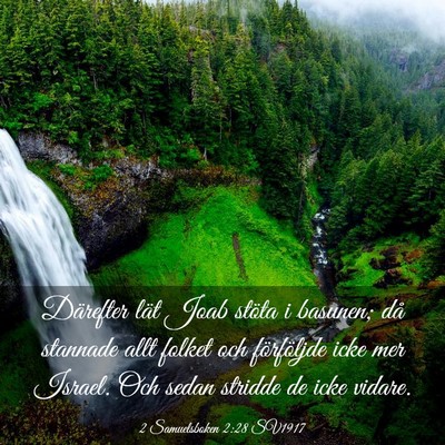 Picture 03 - 2 Samuelsboken 2:28 SV1917 - Därefter lät Joab stöta i basunen; då - Bible Verse Picture