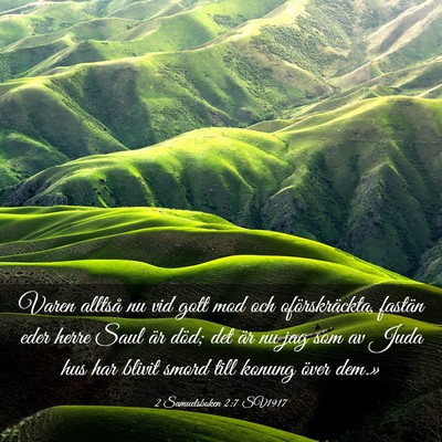 Picture 03 - 2 Samuelsboken 2:7 SV1917 - Varen alltså nu vid gott mod och oförskräckta, - Bible Verse Picture
