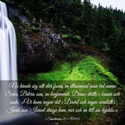 Picture 03 - 2 Samuelsboken 20:1 SV1917 - Nu hände sig att där fanns en illasinnad man - Bible Verse Picture