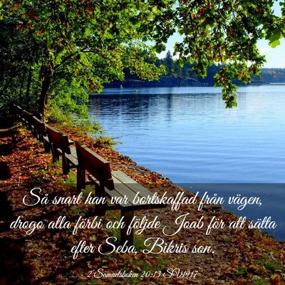 Picture 03 - 2 Samuelsboken 20:13 SV1917 - Så snart han var bortskaffad från vägen, drogo - Bible Verse Picture
