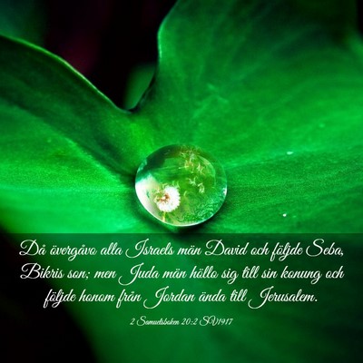 Picture 03 - 2 Samuelsboken 20:2 SV1917 - Då övergåvo alla Israels män David och - Bible Verse Picture