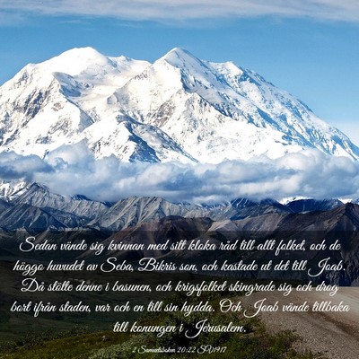 Picture 03 - 2 Samuelsboken 20:22 SV1917 - Sedan vände sig kvinnan med sitt kloka råd till - Bible Verse Picture