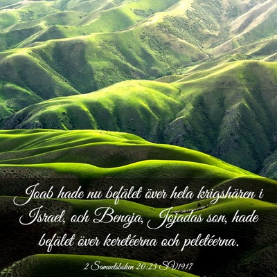 Picture 03 - 2 Samuelsboken 20:23 SV1917 - Joab hade nu befälet över hela krigshären i - Bible Verse Picture