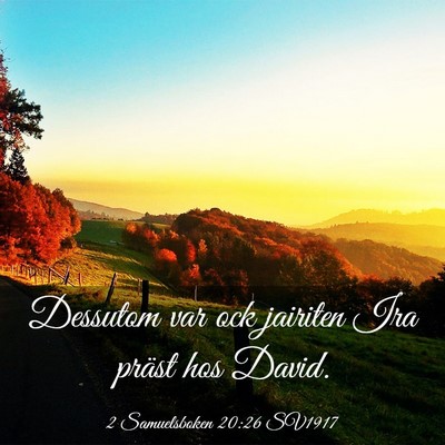 Picture 03 - 2 Samuelsboken 20:26 SV1917 - Dessutom var ock jairiten Ira präst hos - Bible Verse Picture
