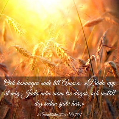 Picture 03 - 2 Samuelsboken 20:4 SV1917 - Och konungen sade till Amasa: »Båda upp åt mig - Bible Verse Picture