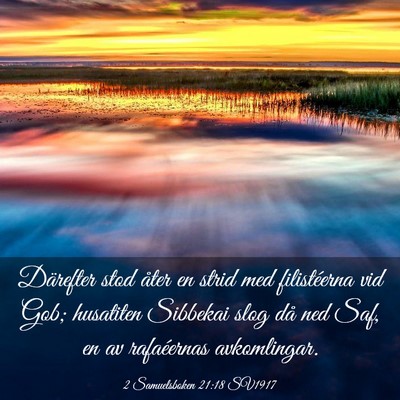 Picture 03 - 2 Samuelsboken 21:18 SV1917 - Därefter stod åter en strid med filistéerna - Bible Verse Picture
