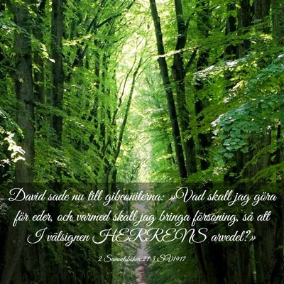 Picture 03 - 2 Samuelsboken 21:3 SV1917 - David sade nu till gibeoniterna: »Vad skall jag - Bible Verse Picture