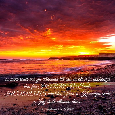 Picture 03 - 2 Samuelsboken 21:6 SV1917 - av hans söner må sju utlämnas till oss, så - Bible Verse Picture