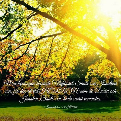 Picture 03 - 2 Samuelsboken 21:7 SV1917 - Men konungen skonade Mefiboset, Sauls son - Bible Verse Picture