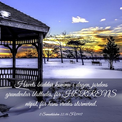 Picture 03 - 2 Samuelsboken 22:16 SV1917 - Havets bäddar kommo i dagen, jordens grundvalar - Bible Verse Picture