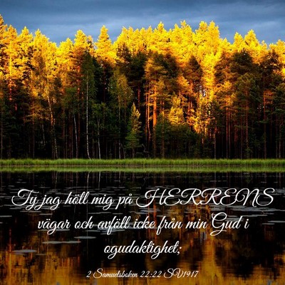 Picture 03 - 2 Samuelsboken 22:22 SV1917 - Ty jag höll mig på HERRENS vägar och avföll - Bible Verse Picture