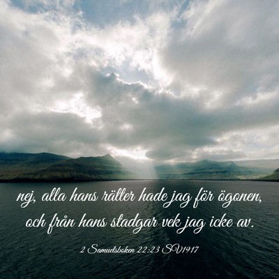 Picture 03 - 2 Samuelsboken 22:23 SV1917 - nej, alla hans rätter hade jag för ögonen, och - Bible Verse Picture