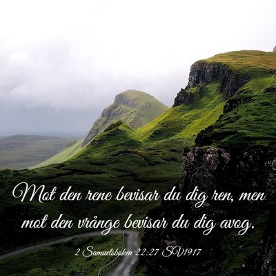 Picture 03 - 2 Samuelsboken 22:27 SV1917 - Mot den rene bevisar du dig ren, men mot den - Bible Verse Picture