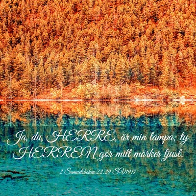Picture 03 - 2 Samuelsboken 22:29 SV1917 - Ja, du, HERRE, är min lampa; ty HERREN gör mitt - Bible Verse Picture