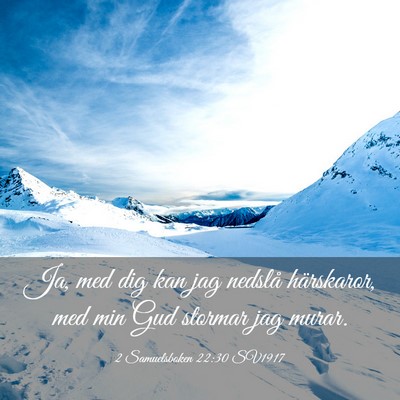 Picture 03 - 2 Samuelsboken 22:30 SV1917 - Ja, med dig kan jag nedslå härskaror, med min - Bible Verse Picture