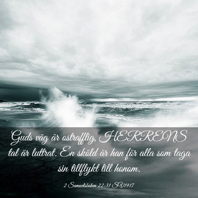 Picture 03 - 2 Samuelsboken 22:31 SV1917 - Guds väg är ostrafflig, HERRENS tal är - Bible Verse Picture