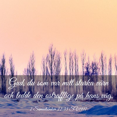 Picture 03 - 2 Samuelsboken 22:33 SV1917 - Gud, du som var mitt starka värn och ledde den - Bible Verse Picture