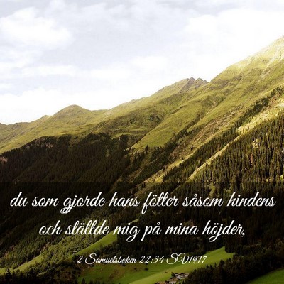 Picture 03 - 2 Samuelsboken 22:34 SV1917 - du som gjorde hans fötter såsom hindens och - Bible Verse Picture