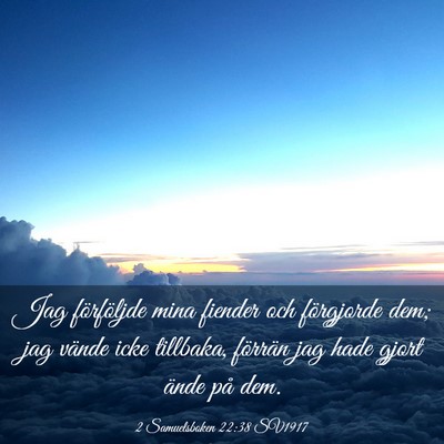 Picture 03 - 2 Samuelsboken 22:38 SV1917 - Jag förföljde mina fiender och förgjorde dem; - Bible Verse Picture