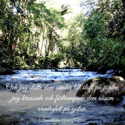 Picture 03 - 2 Samuelsboken 22:43 SV1917 - Och jag stötte dem sönder till stoft på - Bible Verse Picture