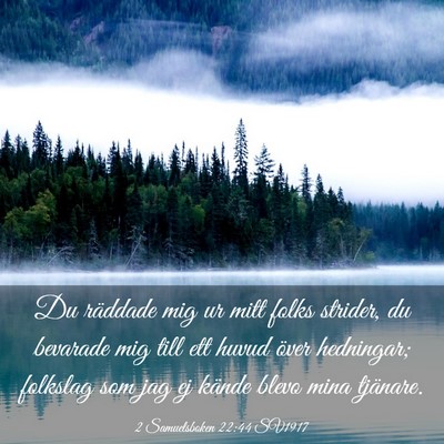 Picture 03 - 2 Samuelsboken 22:44 SV1917 - Du räddade mig ur mitt folks strider, du - Bible Verse Picture
