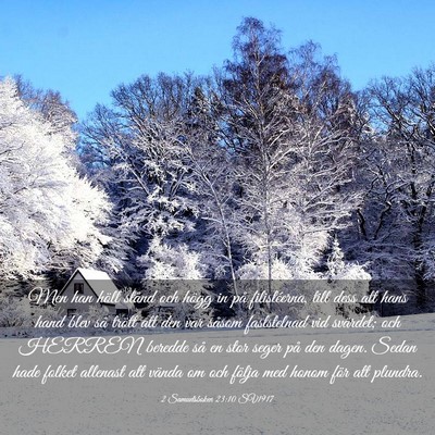 Picture 03 - 2 Samuelsboken 23:10 SV1917 - Men han höll stånd och högg in på - Bible Verse Picture