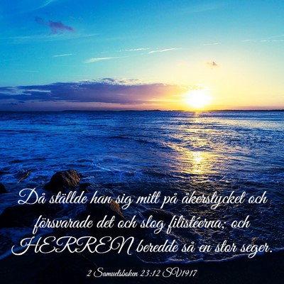 Picture 03 - 2 Samuelsboken 23:12 SV1917 - Då ställde han sig mitt på åkerstycket och - Bible Verse Picture