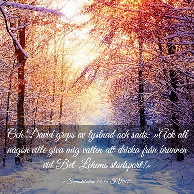 Picture 03 - 2 Samuelsboken 23:15 SV1917 - Och David greps av lystnad och sade: »Ack att - Bible Verse Picture