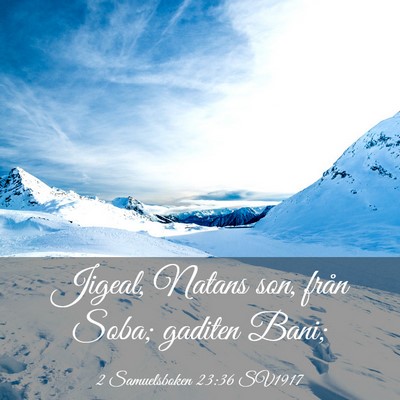 Picture 03 - 2 Samuelsboken 23:36 SV1917 - Jigeal, Natans son, från Soba; gaditen - Bible Verse Picture