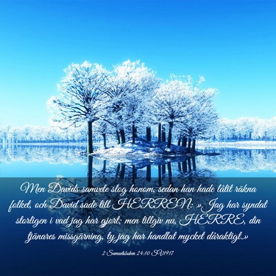 Picture 03 - 2 Samuelsboken 24:10 SV1917 - Men Davids samvete slog honom, sedan han hade - Bible Verse Picture