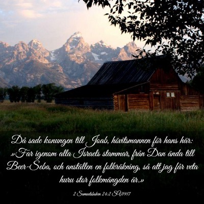 Picture 03 - 2 Samuelsboken 24:2 SV1917 - Då sade konungen till Joab, hövitsmannen för - Bible Verse Picture
