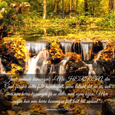 Picture 03 - 2 Samuelsboken 24:3 SV1917 - Joab svarade konungen: »Må HERREN, din Gud, - Bible Verse Picture