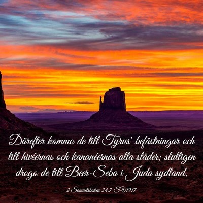 Picture 03 - 2 Samuelsboken 24:7 SV1917 - Därefter kommo de till Tyrus' befästningar och - Bible Verse Picture