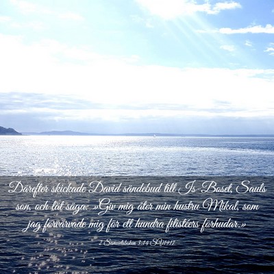 Picture 03 - 2 Samuelsboken 3:14 SV1917 - Därefter skickade David sändebud till Is-Boset, - Bible Verse Picture