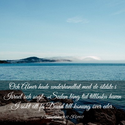 Picture 03 - 2 Samuelsboken 3:17 SV1917 - Och Abner hade underhandlat med de äldste i - Bible Verse Picture