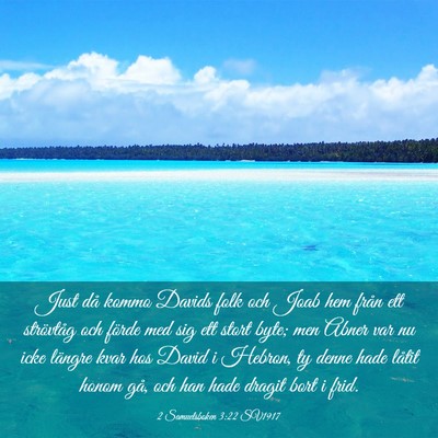Picture 03 - 2 Samuelsboken 3:22 SV1917 - Just då kommo Davids folk och Joab hem från ett - Bible Verse Picture